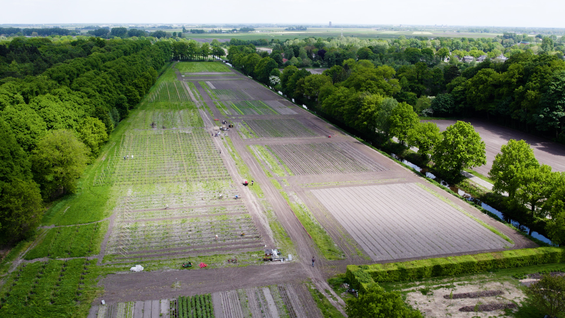 De eerste aanplant pilotproject agroforestry. Hier zie het bovenaanzicht van het perceel