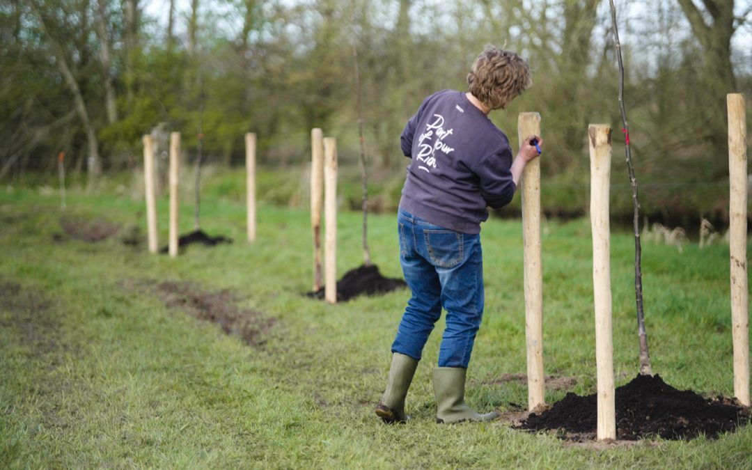 21 augustus excursie agroforestry