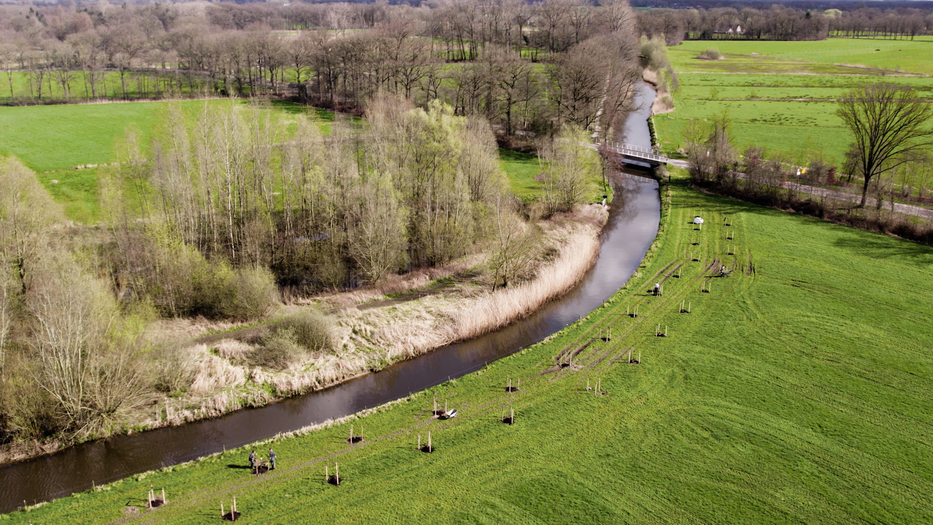 Resultaat Agroforestry in Stoutenburg (Leusden). Mooi resultaat van bedrijfsplan agroforestry