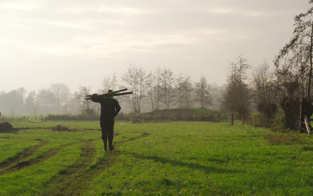 Jaarprogramma agroforestry Utrecht 2024