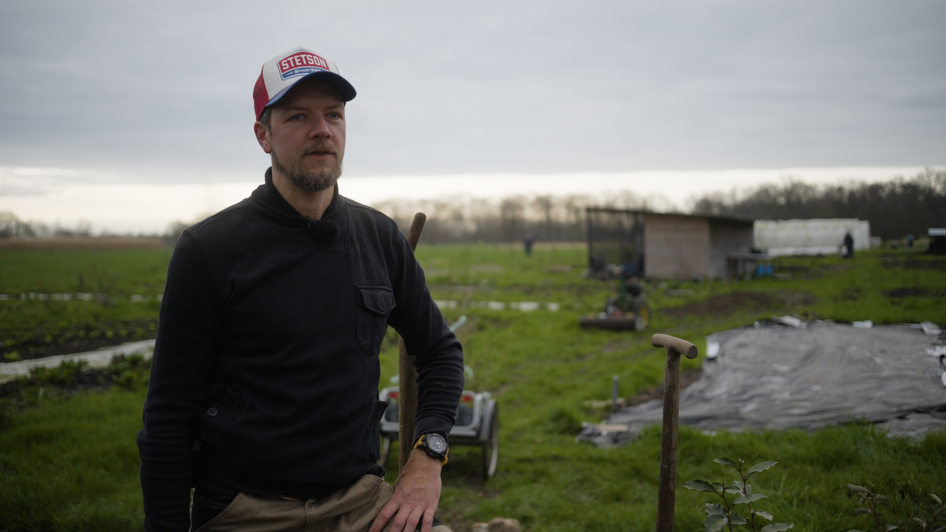 Afronding Pilot Agroforestry Utrecht - William in het Veld